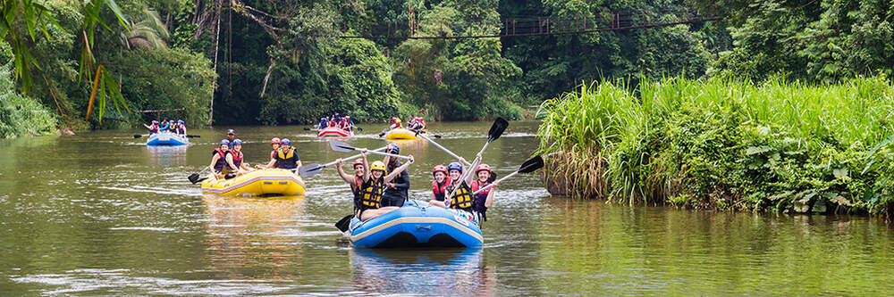 Rafters paddling down a jungle river